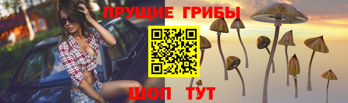 наркотики  Псилоцибиновые грибы ЛСД  Вход с VPN  Дмитров 